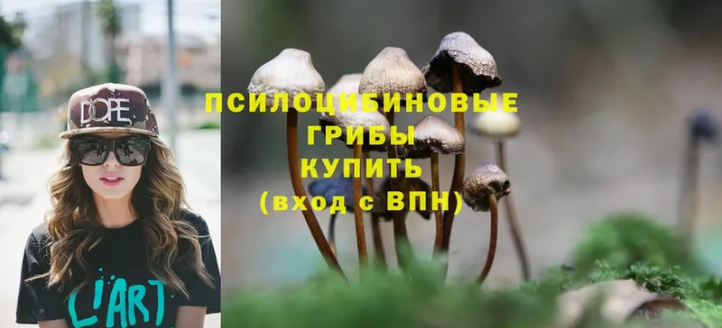 Псилоцибиновые грибы GOLDEN TEACHER  купить закладку  Верещагино 